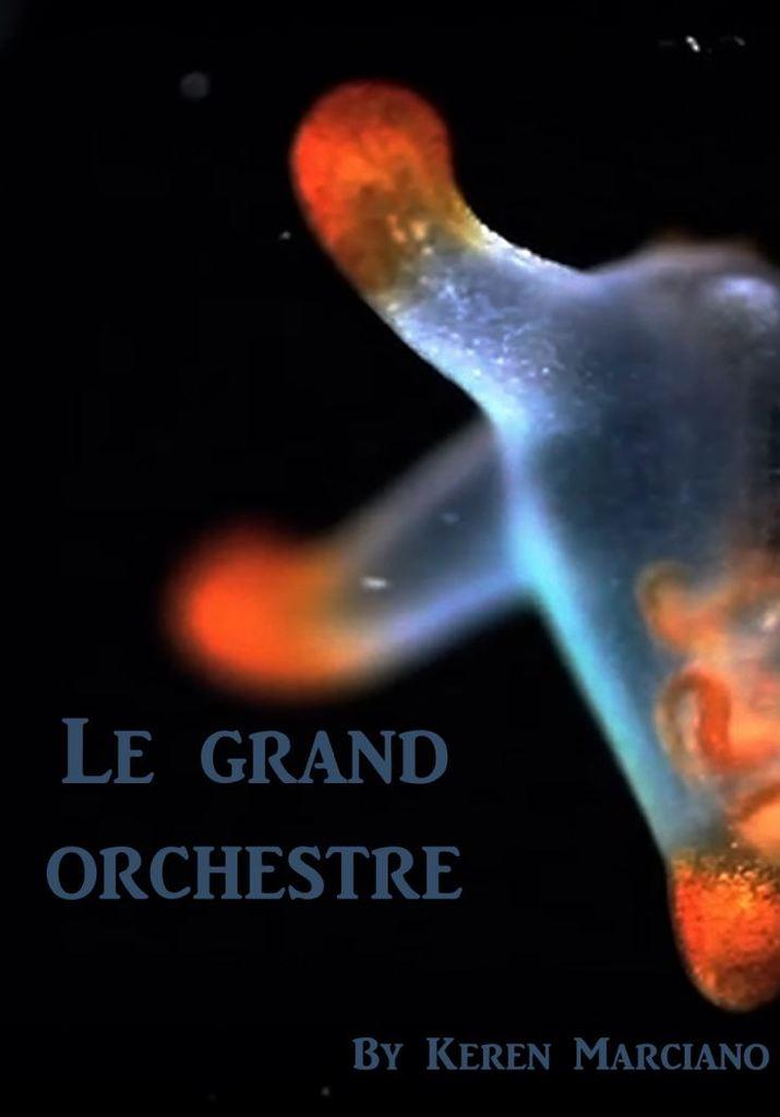 Le Grand Orchestre Le Grand Orchestre