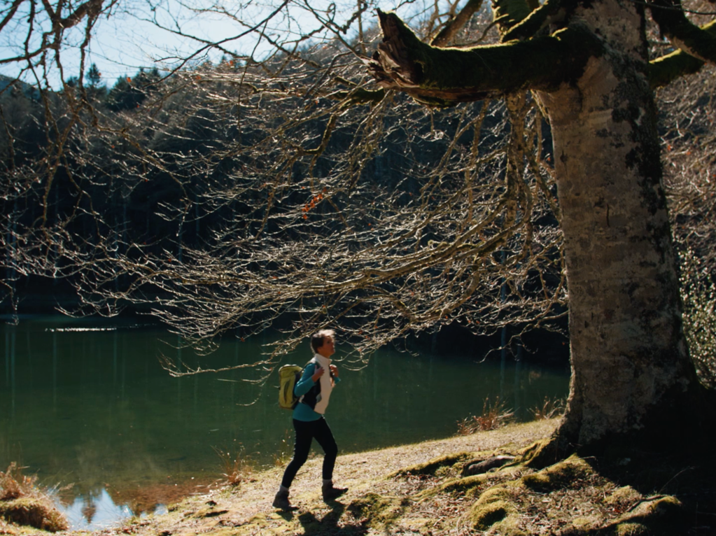 Le Chant des arbres Le Chant des arbres