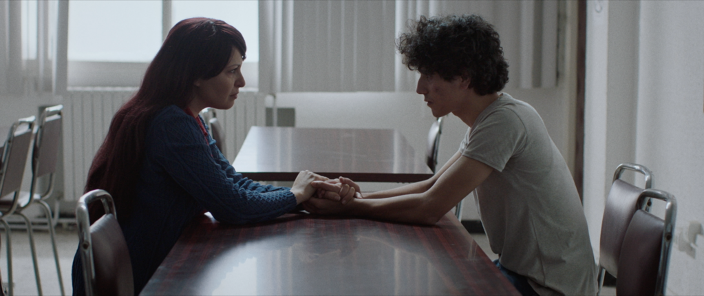 Amel et les fauves Amel et les fauves