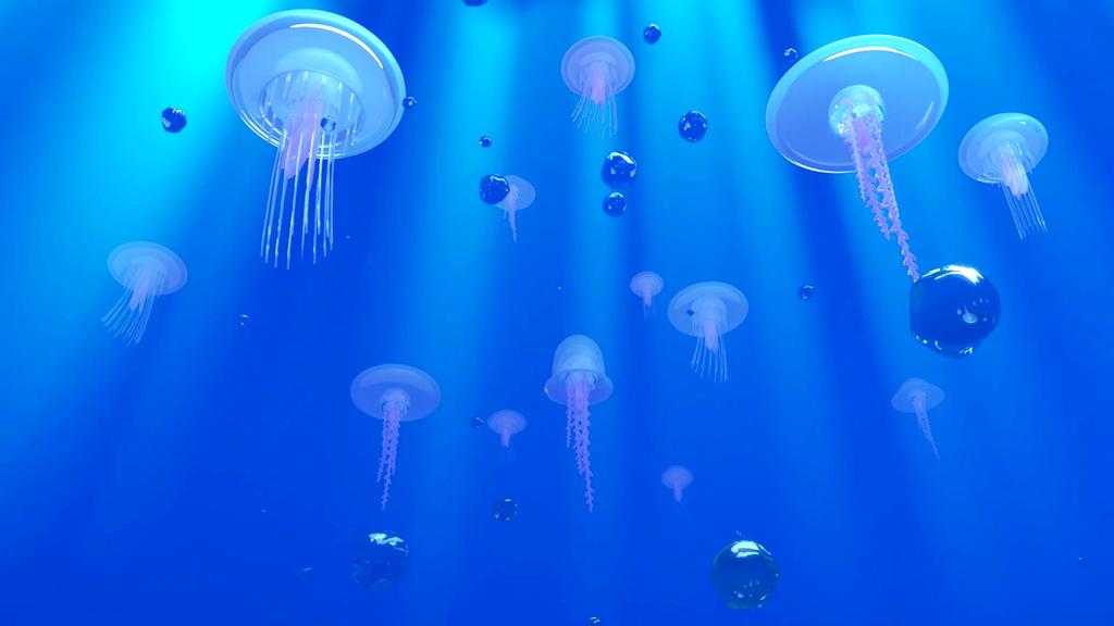 The Jellyfish The Jellyfish