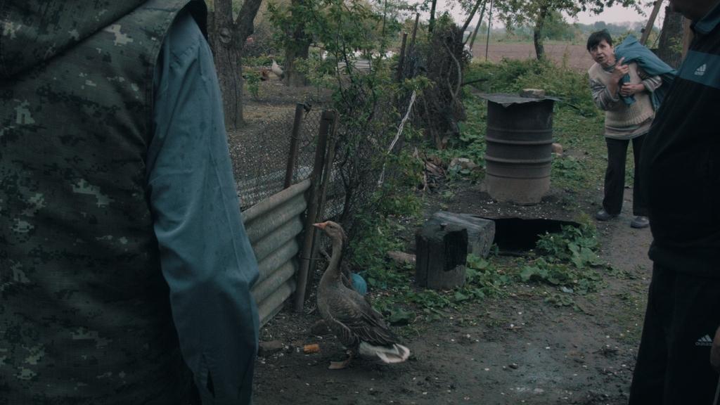 Blackthorn Blossom Blackthorn Blossom