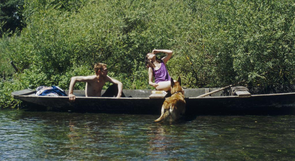 Vienna (Viennale) - International Film Festival - 2009 - &copy; shellac