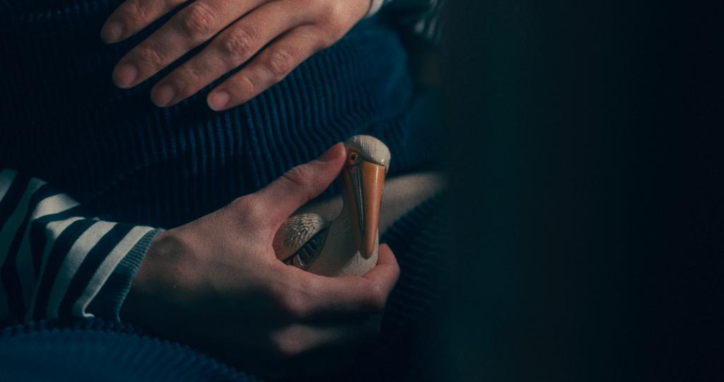 Le Coeur du pélican Le Coeur du pélican