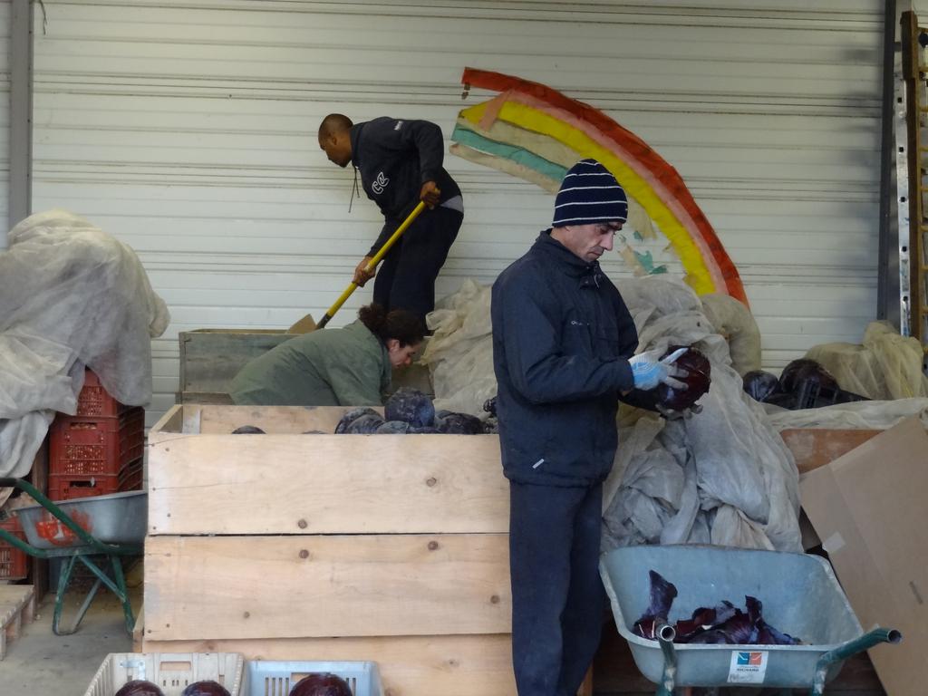 Fight - © Andrea Santana Fight - © Andrea Santana