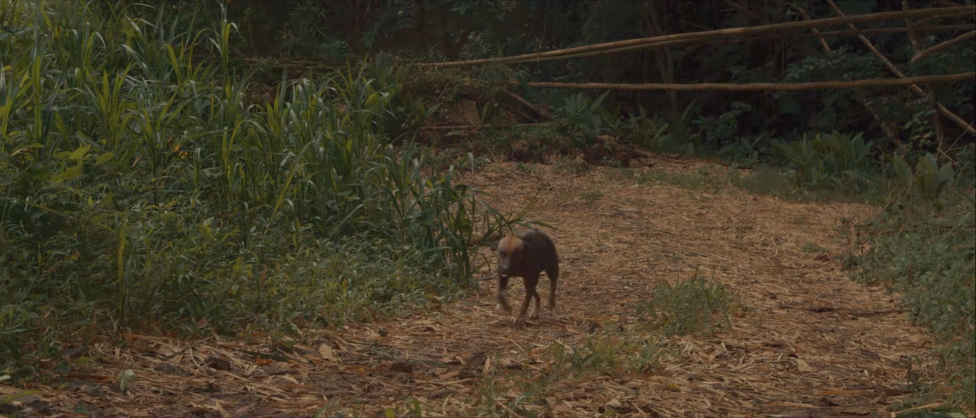 The Mysteries of Bwa Yen Yen