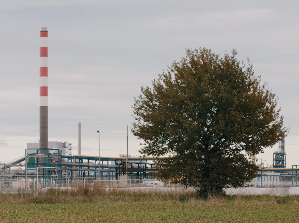 Le Chant des arbres Le Chant des arbres