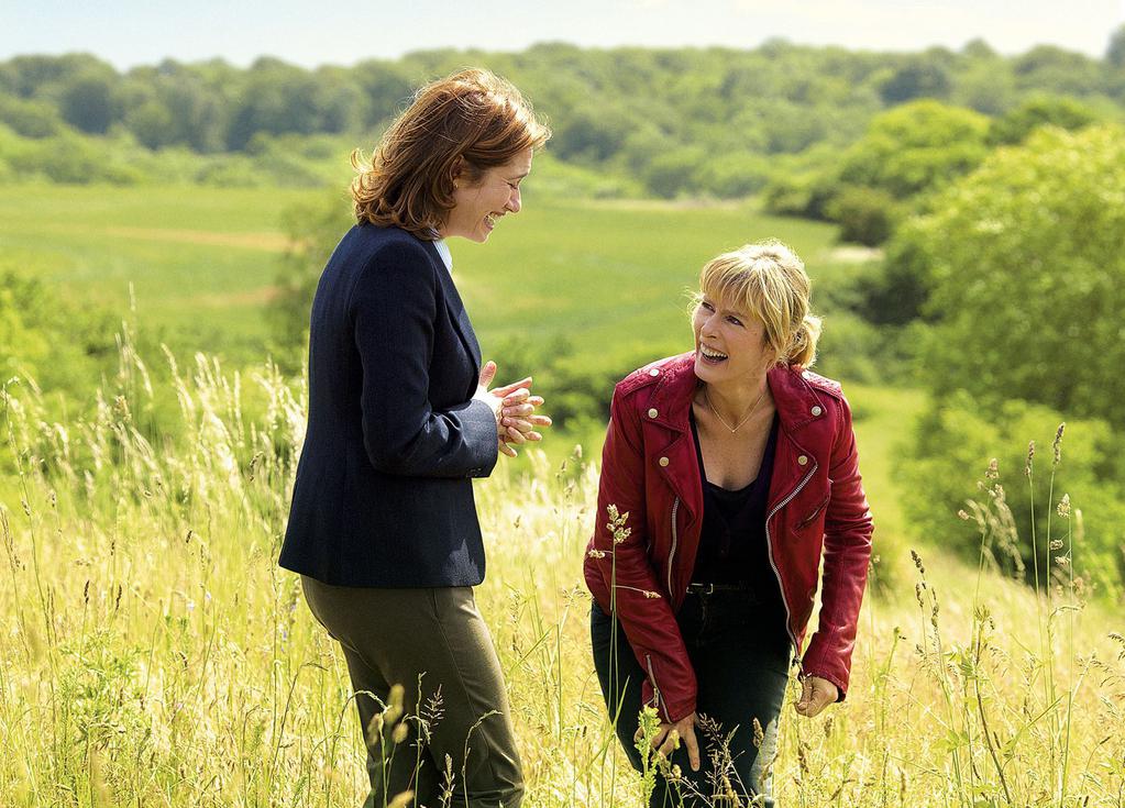 Almost Friends Almost Friends