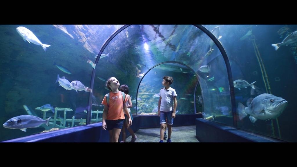 Un monde de plastique Un monde de plastique