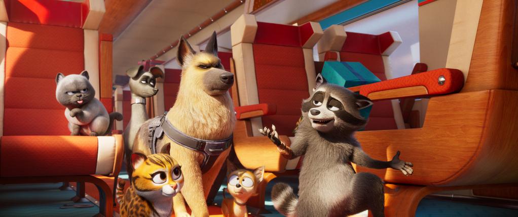 Pets on a Train - © TAT Productions - Apollo Films Distribution - France 3 Cinéma - Kinologics