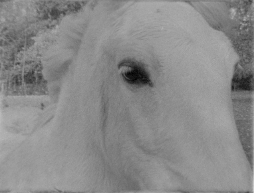 La Marche de Paris à Brest La Marche de Paris à Brest