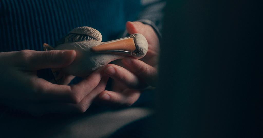 Le Coeur du pélican Le Coeur du pélican