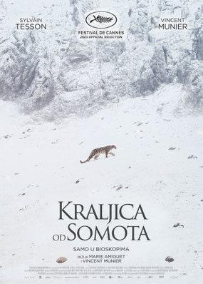 La Panthère des neiges - Serbia La Panthère des neiges - Serbia