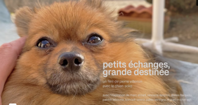 Petits Échanges, grande destinée Petits Échanges, grande destinée