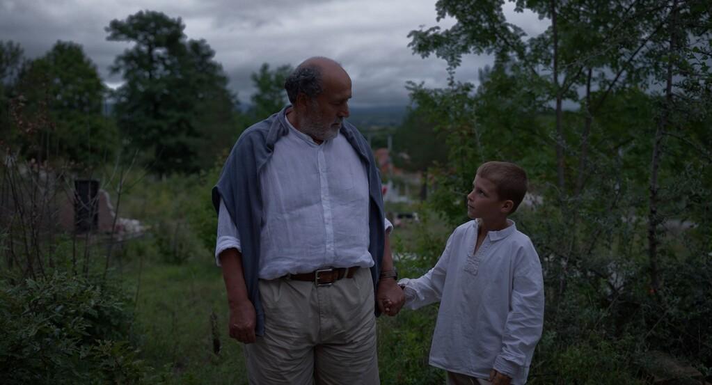 The Beauty of the Donkey