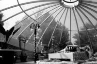 Avida / 仮題:アビダ Avida / 仮題:アビダ