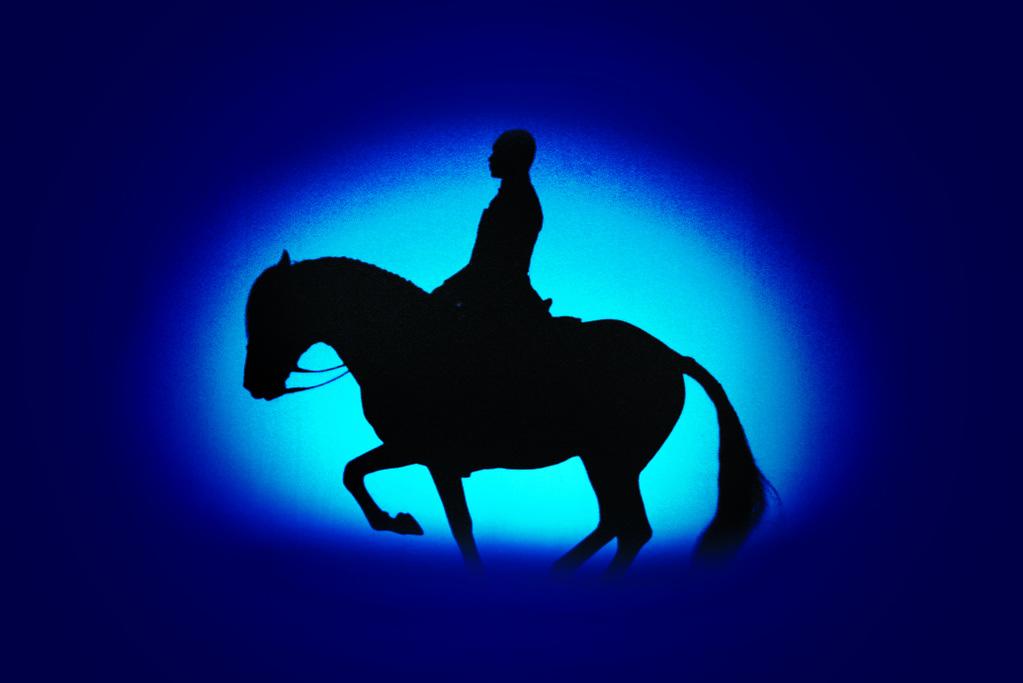 Time of the Untamed Time of the Untamed