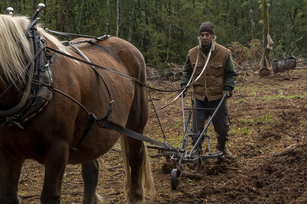 Michaël Youn - © 2024 - Christine Tamalet - Bonne Pioche Cinéma - Gaumont - France 2 Cinéma Michaël Youn - © 2024 - Christine Tamalet - Bonne Pioche Cinéma - Gaumont - France 2 Cinéma