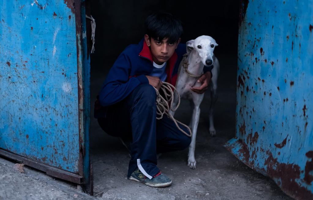 Ciudad sin sueño Ciudad sin sueño