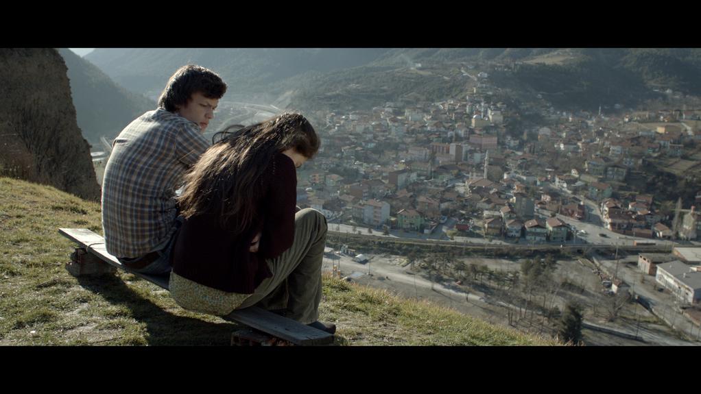 Helsinki International Film Festival - Love & Anarchy - 2013