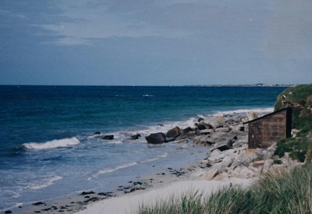 L'Amoureuse L'Amoureuse