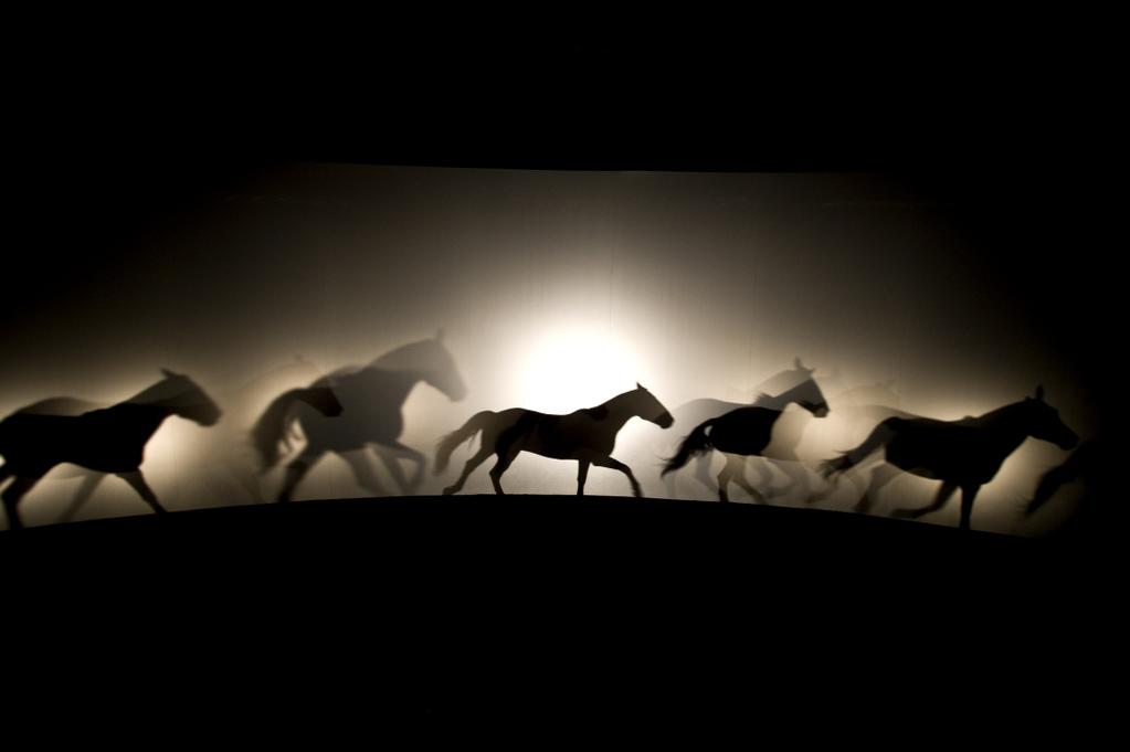 Time of the Untamed - © Antoine Poupel Time of the Untamed - © Antoine Poupel