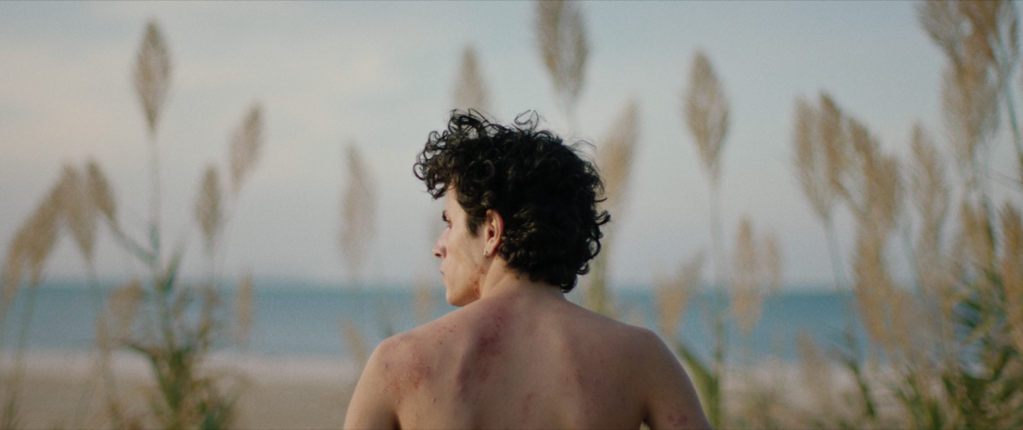 Amel et les fauves Amel et les fauves