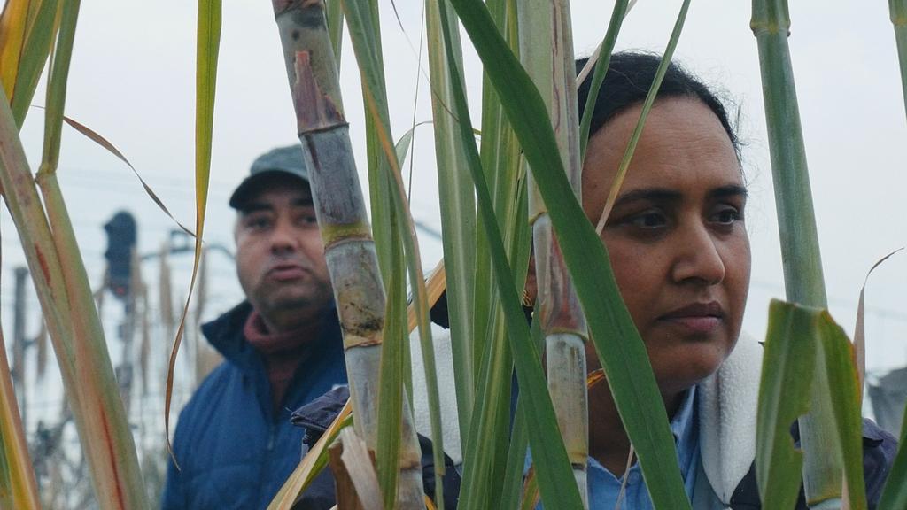 Good Valley Stories Good Valley Stories