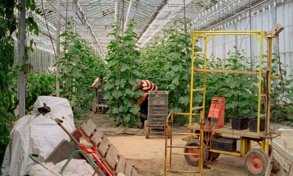 Kino Athens International Film Festival - 2026