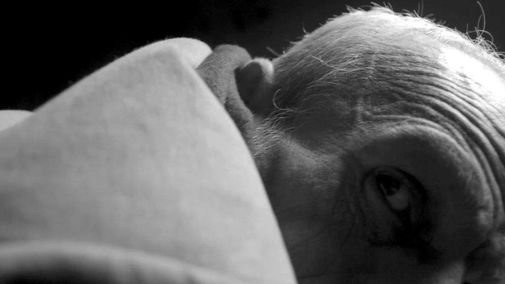 The Misunderstanding The Misunderstanding