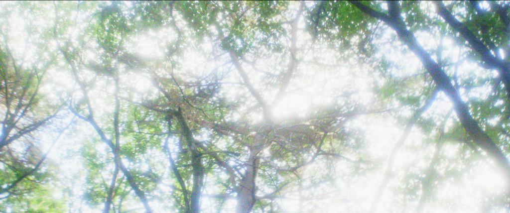 Dernier Soleil Dernier Soleil