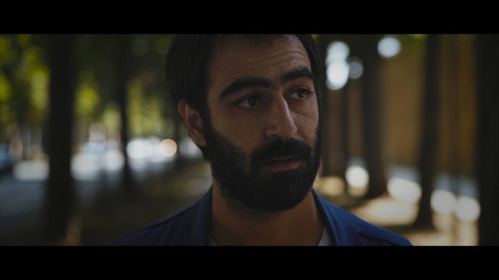 Les Vies dansent Les Vies dansent