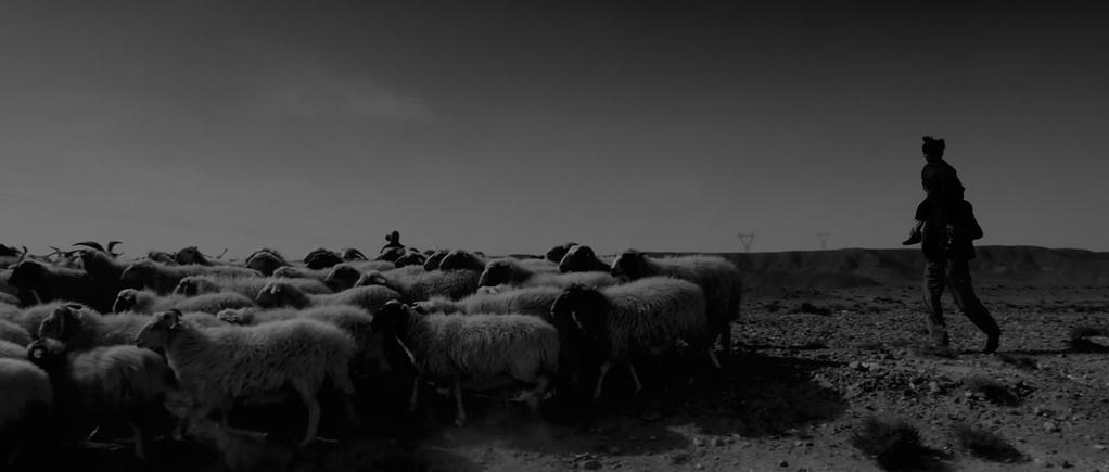 テッサロニキ　国際映画祭 - 2011