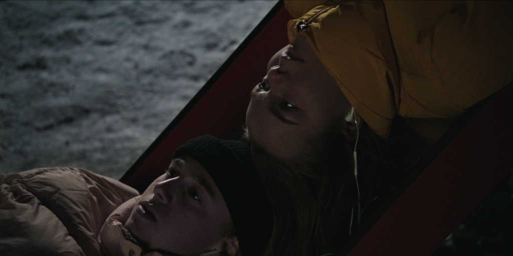 The Animal The Animal