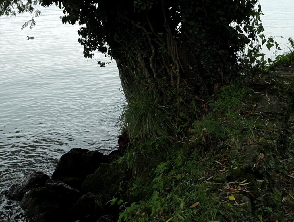 Vienna (Viennale) - International Film Festival - 2014