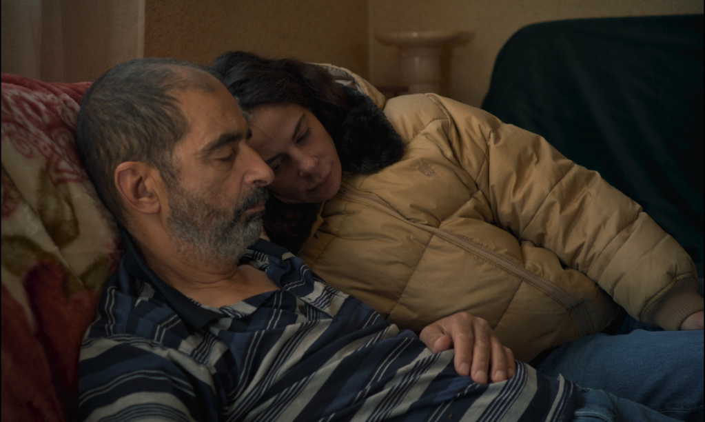 I'll have an Island I'll have an Island