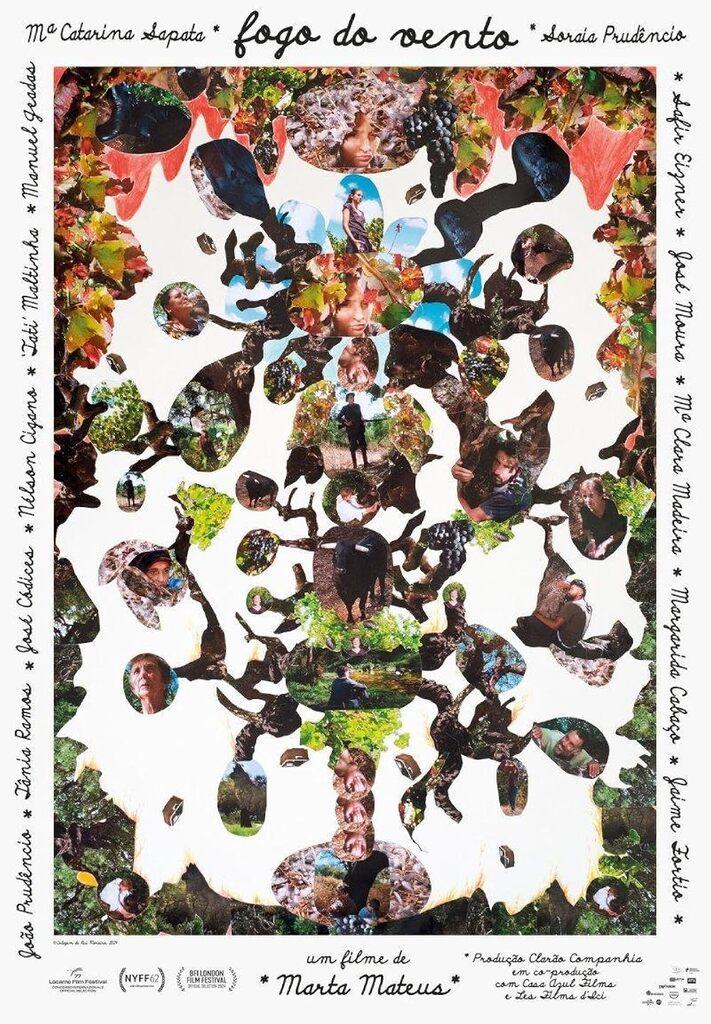 Fogo do Vento - Portugal Fogo do Vento - Portugal