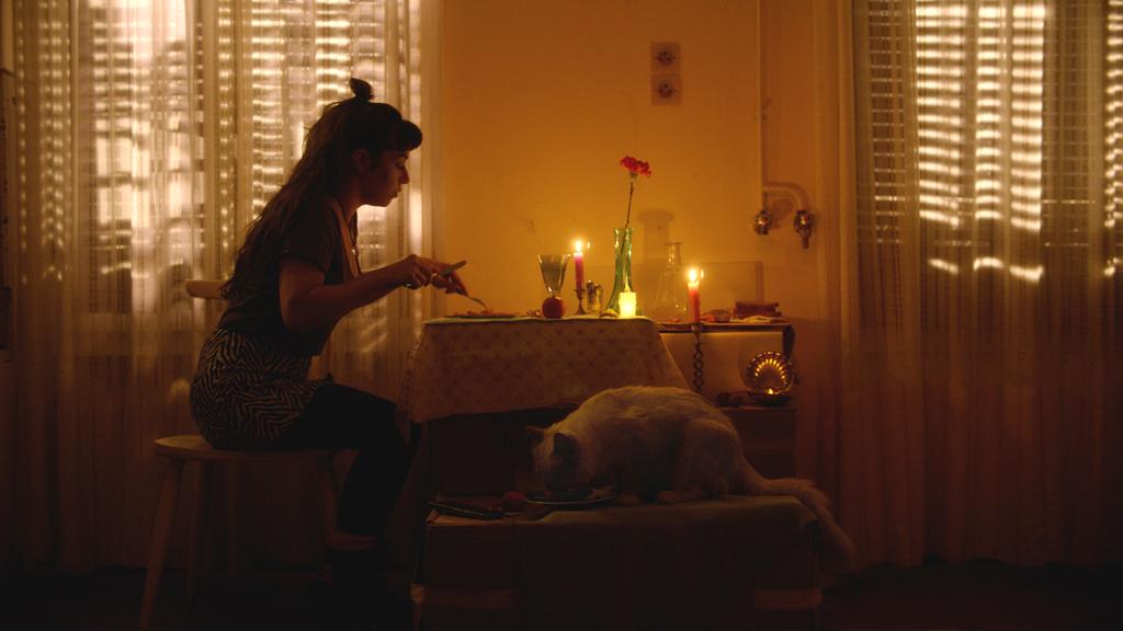 Zizou Xmas Dream Zizou Xmas Dream