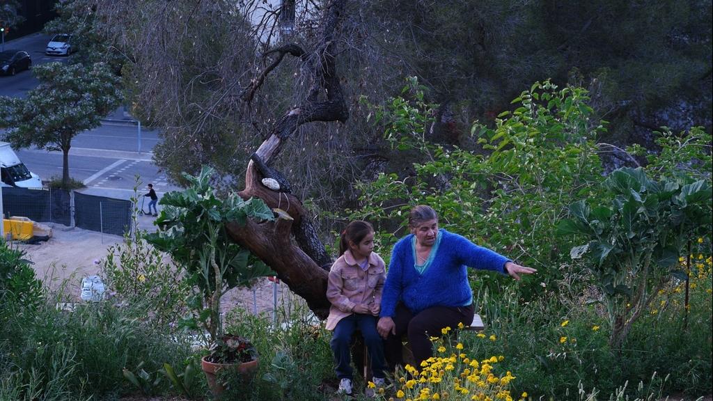 Historias del buen valle Historias del buen valle