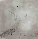 Manuscript for Debris