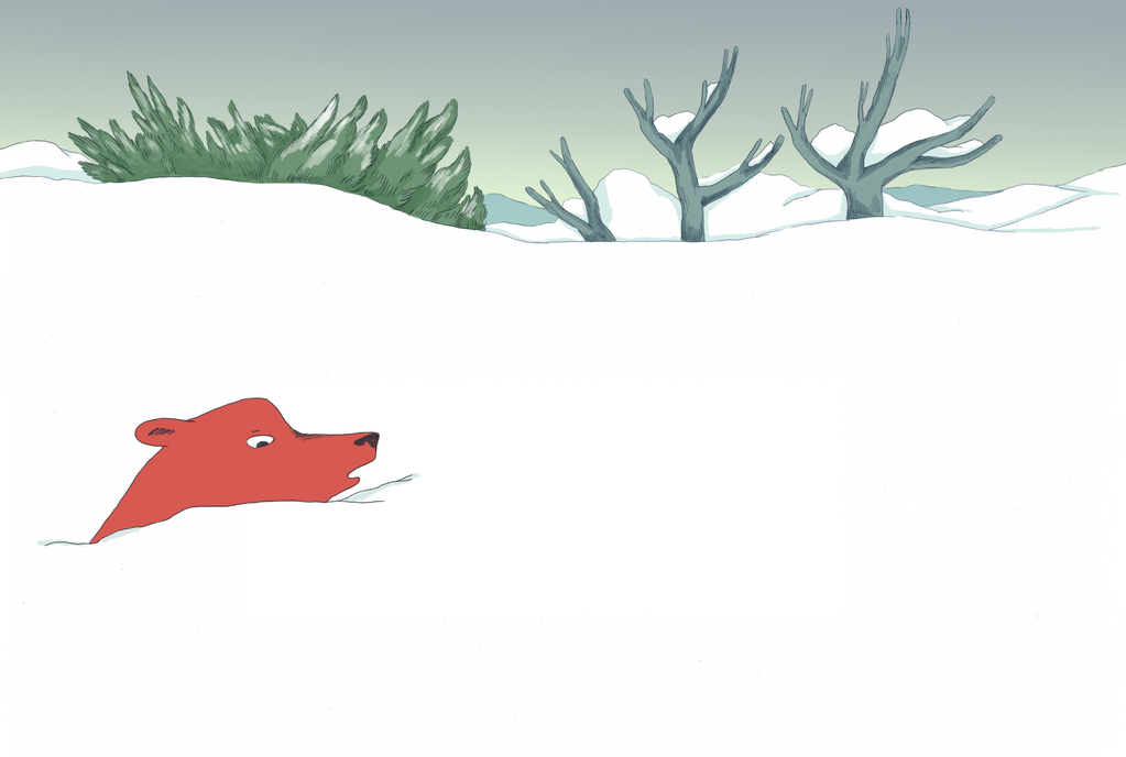 The Bear and the Bird