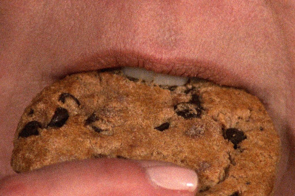 International Film Festival Rotterdam (IFFR) - 2013