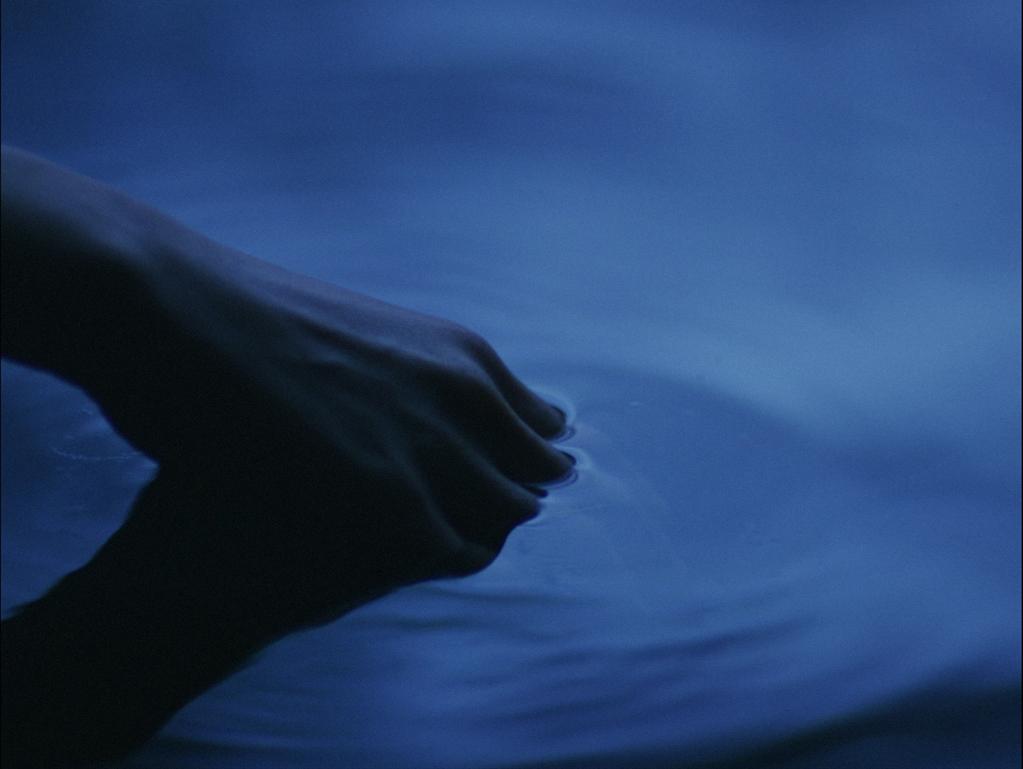 Siamese Twins Siamese Twins