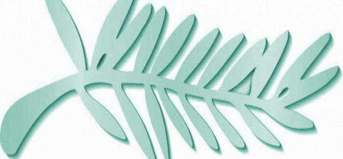 Selecciones, palmarés y delegaciones de festivales de cortometrajes Selecciones, palmarés y delegaciones de festivales de cortometrajes