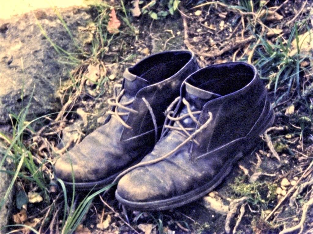 Tous les fleuves s’appellent le Nil Tous les fleuves s’appellent le Nil