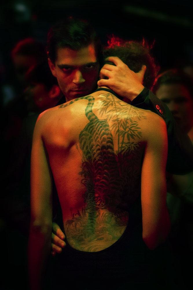 Jungle Chronicle Jungle Chronicle