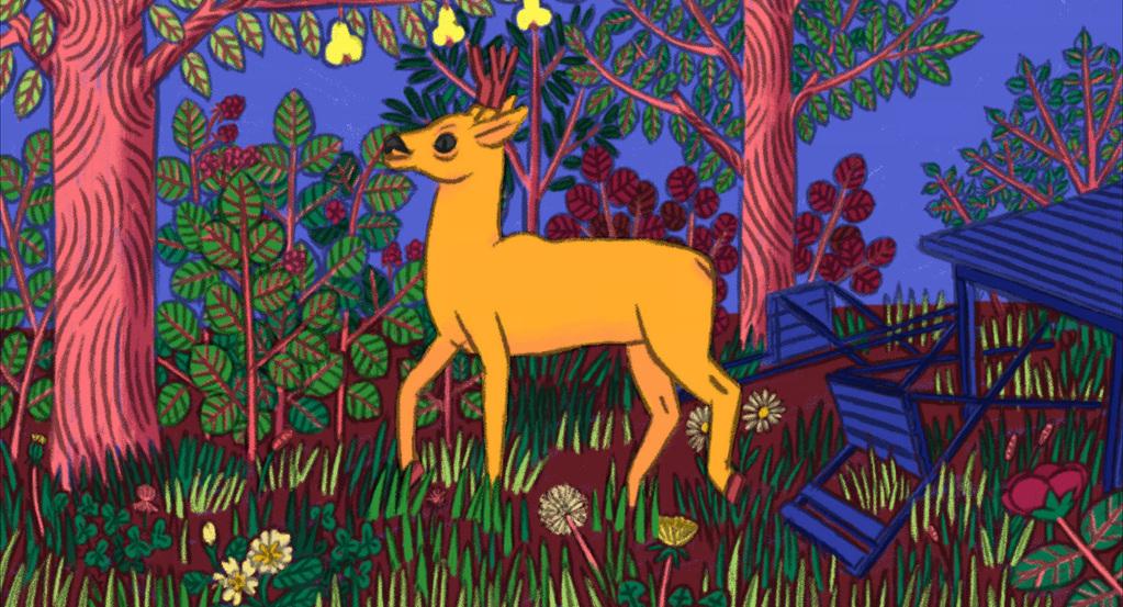 The Roe Deer The Roe Deer