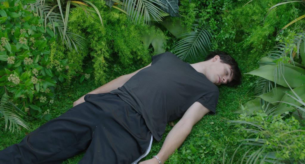 Festival Internacional de Cortometrajes de Winterthur - 2016