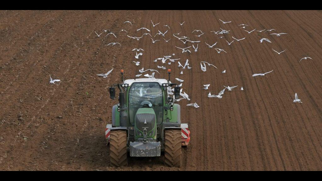 The Last Straw The Last Straw