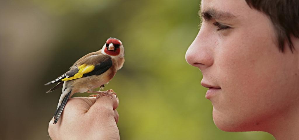 Little Indi Little Indi