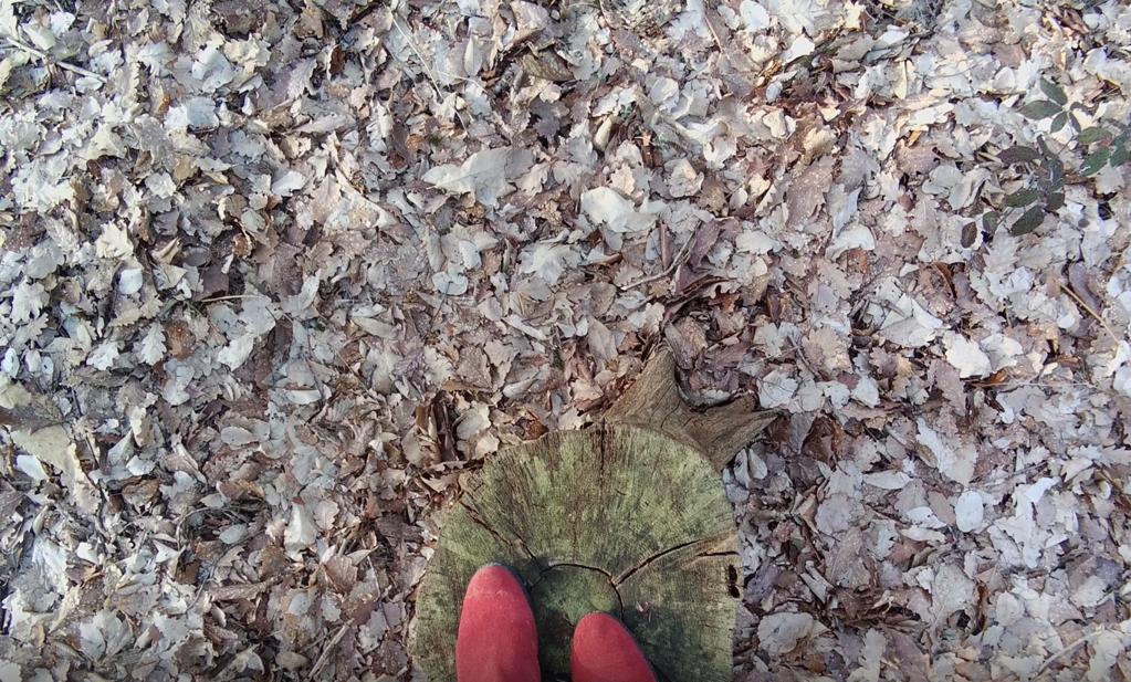 Elisa and Middle-earth Elisa and Middle-earth